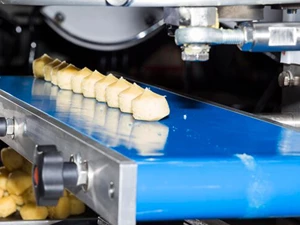 صنعت مواد غذایی